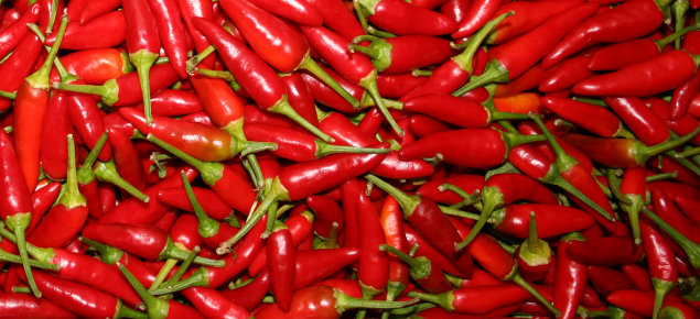 Fresh bird eye chillies