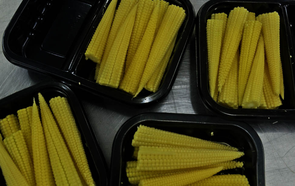 Baby corn
