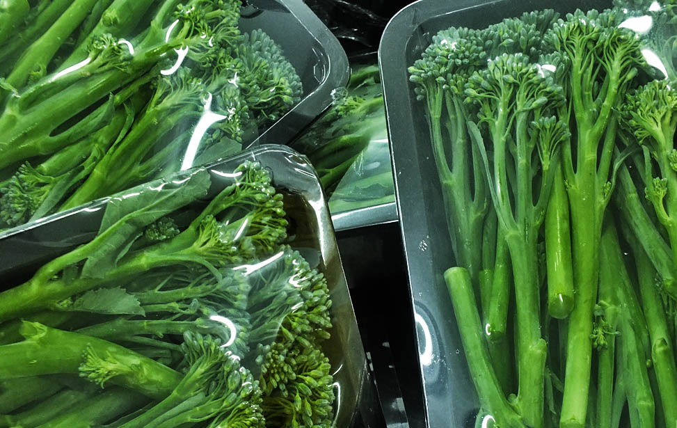 Broccoli