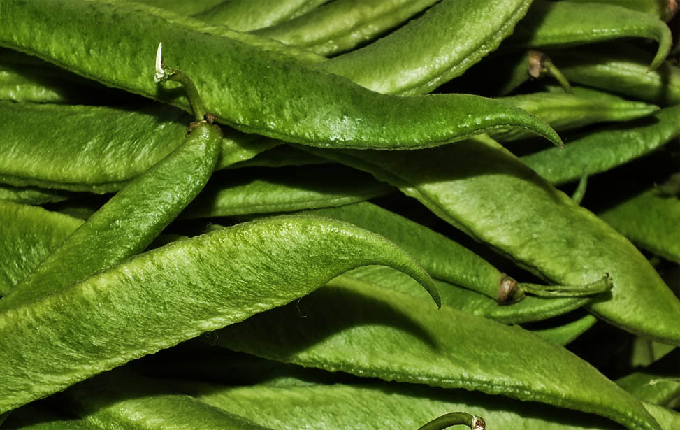 Runner bean